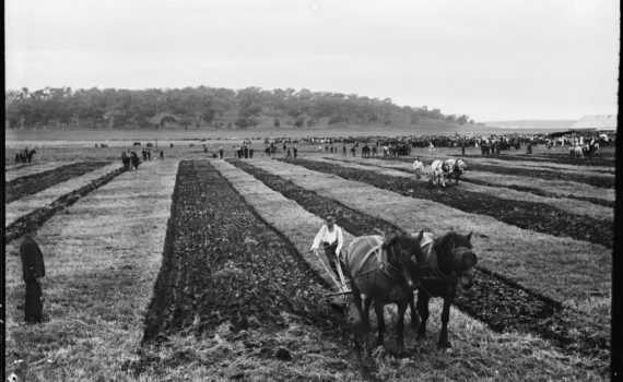 איכר חורש את האדמה